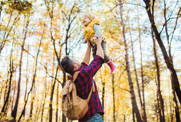 Een volwassen vader, de zoon van een peuter te heffen in de lucht in een herfst bos. — Stockfoto