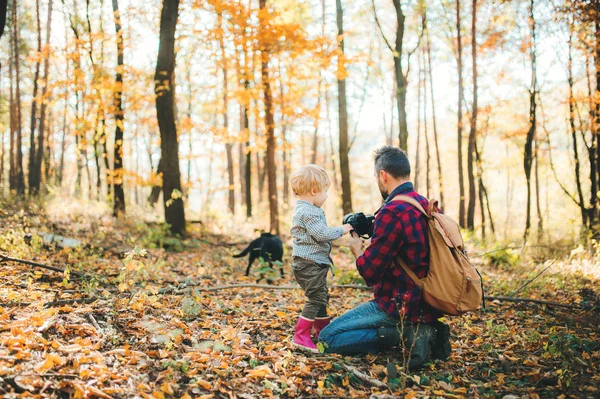 Een volwassen vader en de zoon van een peuter in een herfst bos, nemen van foto's met een camera. — Stockfoto