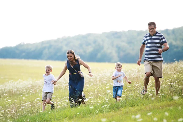 Una familia joven con dos hijos pequeños caminando en la naturaleza en un día de verano . — Foto de Stock