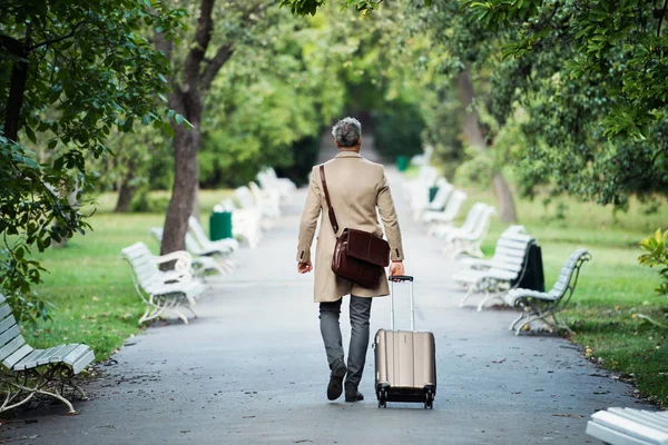 Una vista trasera del hombre de negocios con la maleta caminando en un parque en una ciudad . — Foto de Stock