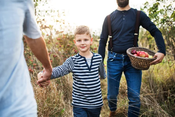 Un niño pequeño con padre y abuelo caminando en el huerto de manzanas en otoño . — Foto de Stock