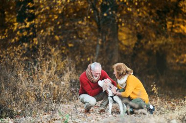 Bir köpek bir sonbahar doğa içinde üst düzey bir çiftle.