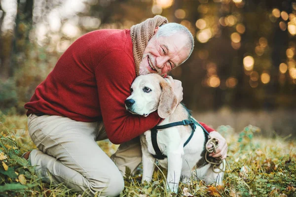 En äldre man med en hund i en höst natur vid solnedgången. — Stockfoto