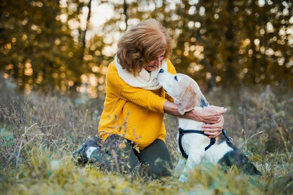 Une femme âgée avec un chien dans une nature d'automne au coucher du soleil . — Photo