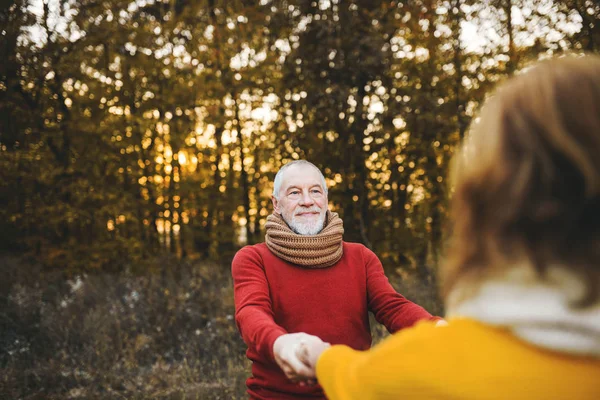 Ένας ανώτερος ζευγάρι για μια βόλτα σε μια φθινοπωρινή φύση στο ηλιοβασίλεμα, κρατώντας τα χέρια. — Φωτογραφία Αρχείου