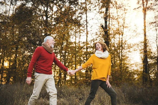 Um casal sênior em um passeio em uma natureza de outono ao pôr do sol, de mãos dadas . — Fotografia de Stock