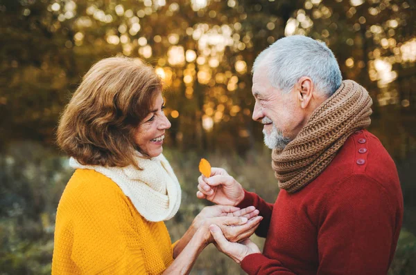 Una coppia anziana in piedi in una natura autunnale al tramonto, guardarsi l'un l'altro . — Foto Stock