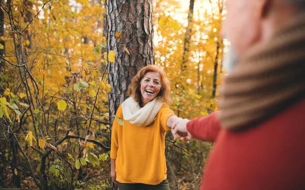 A senior couple on a walk in an autumn nature at sunset, holding hands. — Stock Photo, Image