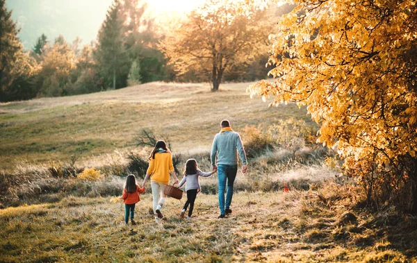 Une Vue Arrière Jeune Famille Avec Deux Jeunes Enfants Marchant — Photo