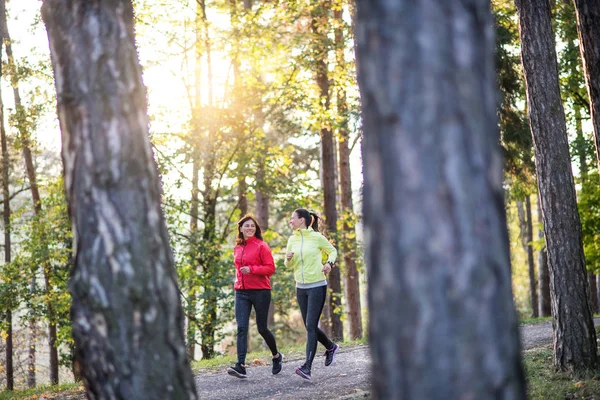 Duas mulheres corredores correndo ao ar livre na floresta no outono natureza . — Fotografia de Stock