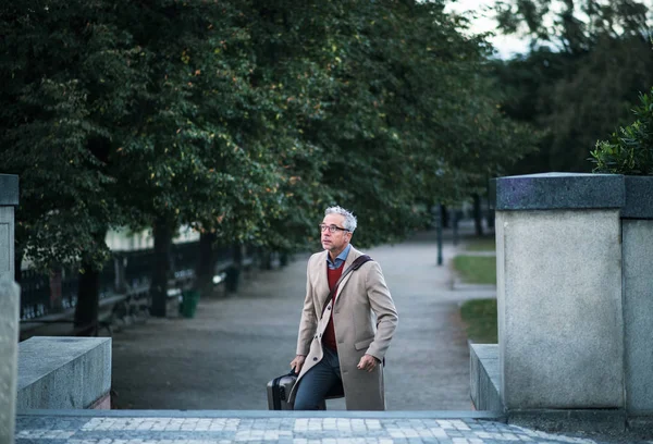 Homme d'affaires mature avec valise montant les escaliers dans un parc dans une ville . — Photo