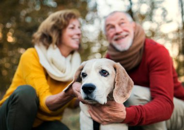Bir sonbahar doğa günbatımı adlı bir köpek ile üst düzey bir çift.