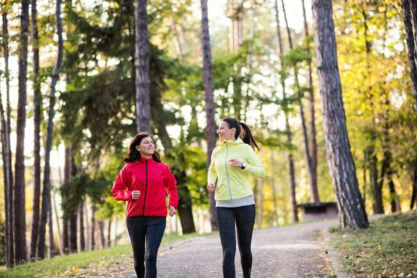 Two female runners jogging outdoors in forest in autumn nature.