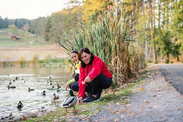 Alergători de sex feminin lângă lac în aer liber în parc în natură, hrănind rațe . — Fotografie, imagine de stoc