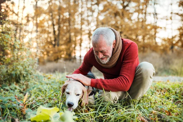 Un homme âgé avec un chien dans une nature d'automne au coucher du soleil . — Photo