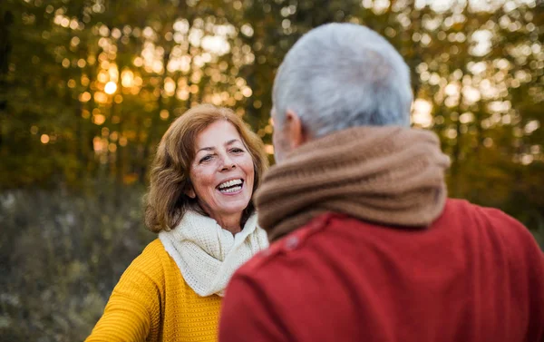 Ett äldre par stående i en höst natur vid solnedgången, tittar på varandra. — Stockfoto