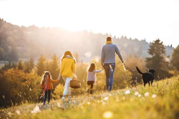 Eine Rückansicht einer Familie mit zwei kleinen Kindern und einem Hund beim Spaziergang in der herbstlichen Natur. — Stockfoto