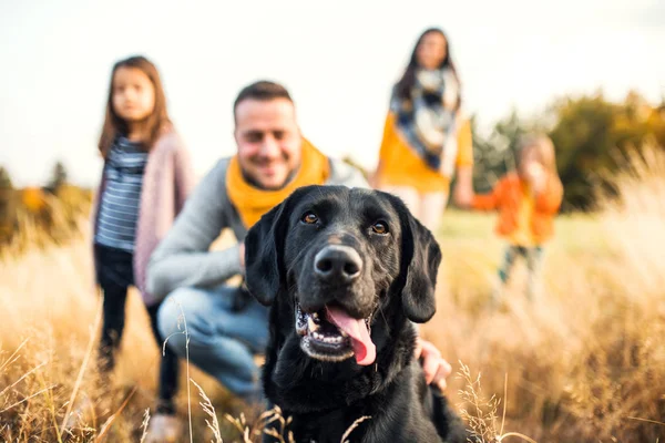Een jong gezin met twee kleine kinderen en een hond op een weide in de herfst natuur. — Stockfoto