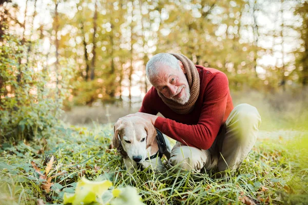 Ein älterer Mann mit Hund in herbstlicher sonniger Natur. — Stockfoto