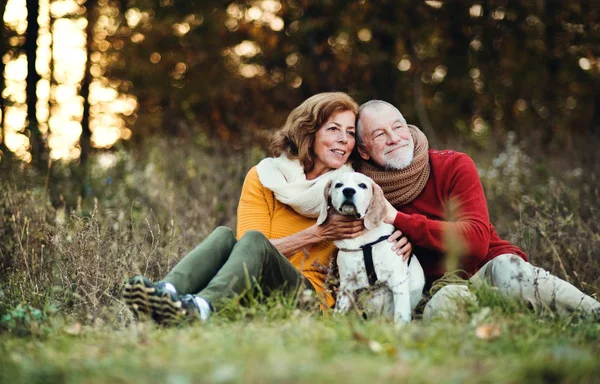 Una coppia anziana con un cane in una natura autunnale al tramonto . — Foto Stock