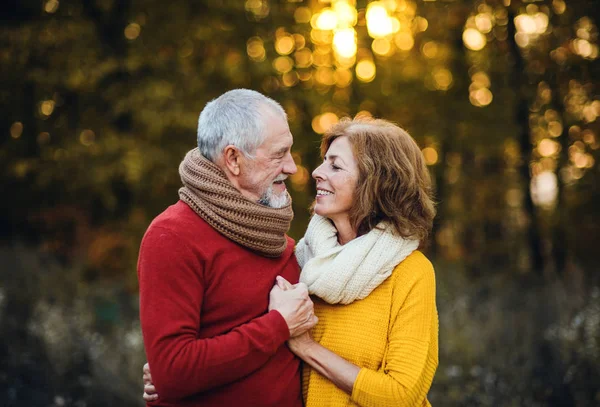一对快乐的恋爱中的老夫妇 在日落时站在秋天的大自然中 牵手看着对方 — 图库照片