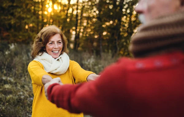 Ett äldre par stående i en höst natur vid solnedgången, tittar på varandra. — Stockfoto