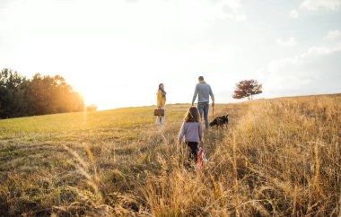 Aile ile çocuk ve bir köpek bir dikiz batımında sonbahar doğada bir yolda.