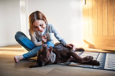 Kapalı yerde evde, bir köpekle oynamayı oturan bir genç kadın.