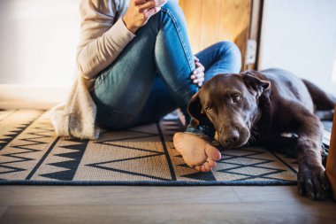 Genç kadın ile kapalı evde katta oturan bir köpek midsection.