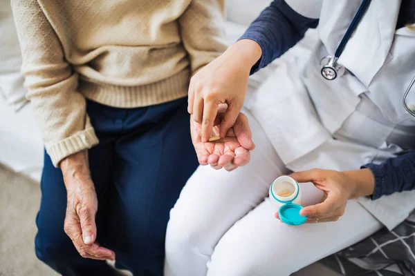 Een onherkenbaar gezondheid bezoeker leggen een senior vrouw hoe om pillen te nemen. — Stockfoto