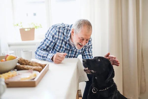Um homem sênior com um cão de estimação sentado na mesa em casa, tomando café da manhã . — Fotografia de Stock