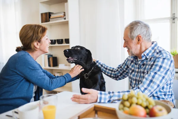 Um casal sênior com um cão de estimação sentado à mesa em casa, tomando café da manhã . — Fotografia de Stock