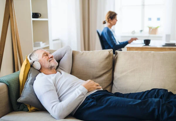 Um casal sênior feliz dentro de casa com um cão de estimação em casa, usando laptop e fones de ouvido . — Fotografia de Stock