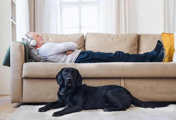 Szczęśliwy człowiek starszy leżąc na kanapie pomieszczeniu z pies w domu, słuchanie muzyki. — Zdjęcie stockowe