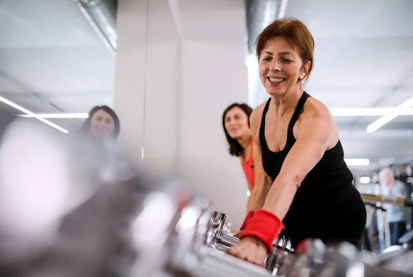 Groupe de femmes âgées gaies dans la salle de gym faire de l'exercice avec haltères . — Photo