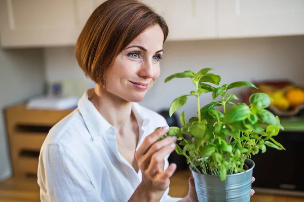 A portrait of young woman standing indoors in kitchen, holding a pot with herbs. — Stock Photo, Image