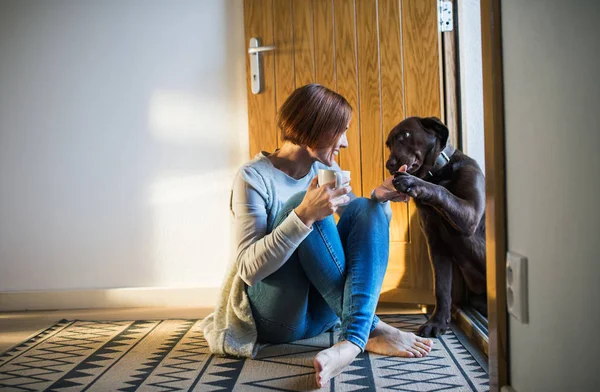 一个年轻的女人坐在家里地板上的门旁边, 和一只狗玩. — 图库照片