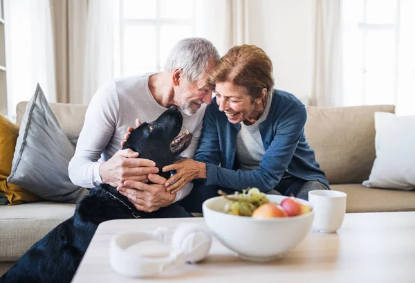 Um casal sénior feliz sentado em um sofá dentro de casa com um cão de estimação em casa . — Fotografia de Stock