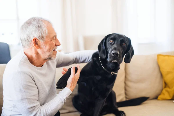 Un uomo anziano felice che gioca con un cane domestico in casa . — Foto Stock