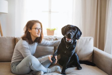 Kapalı, iki odalı bir evde beslenen hayvan köpekle oynamayı oturan genç kız.