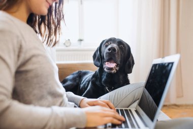 Bir dizüstü bilgisayarda çalışan genç kız ile kapalı, kanepede oturan bir köpek midsection.