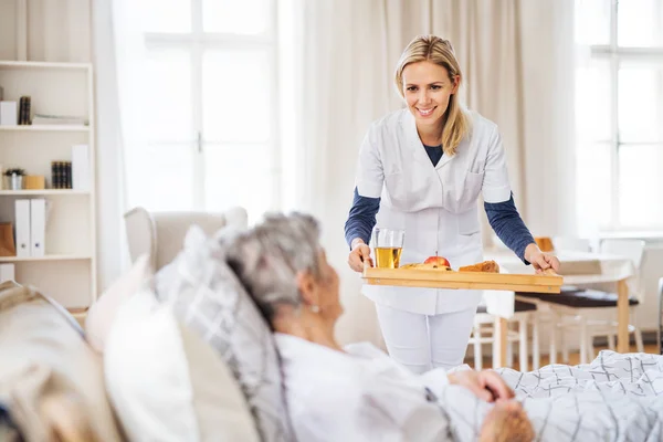 Посетитель, приносящий завтрак больной пожилой женщине, лежащей в постели дома . — стоковое фото