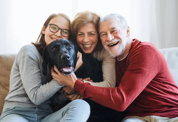 Um casal de idosos com uma adolescente sentada em um sofá com cão em casa . — Fotografia de Stock