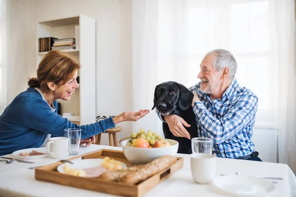 Um casal sênior com um cão de estimação sentado à mesa em casa, tomando café da manhã . — Fotografia de Stock