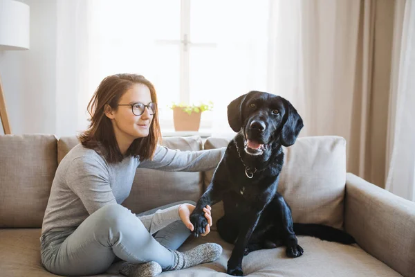 Adolescente sentada en un sofá dentro, jugando con un perro mascota . —  Fotos de Stock
