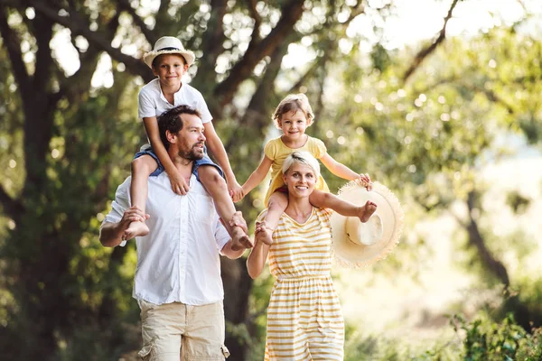 Jong gezin met kleine kinderen in de zonnige zomer natuur. — Stockfoto