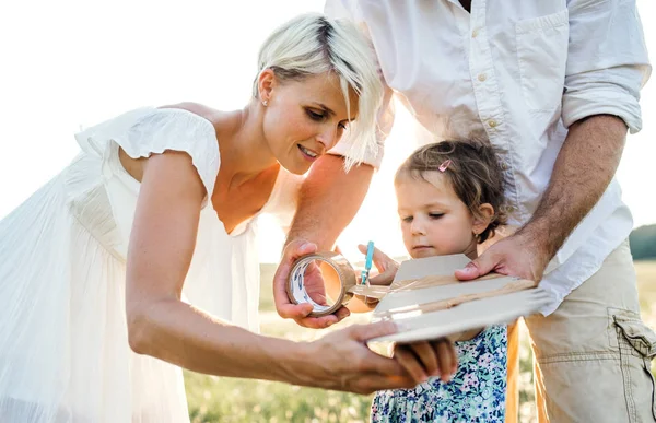 Ung familj med liten dotter spela på en äng i naturen. — Stockfoto