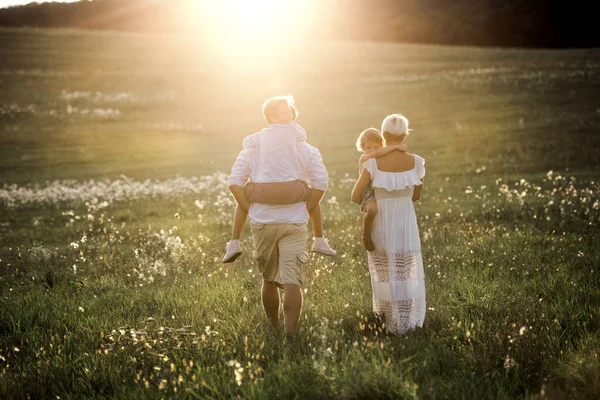 Вид ззаду сім'ї з маленькими дітьми, що йдуть на луг під час заходу сонця влітку . — стокове фото