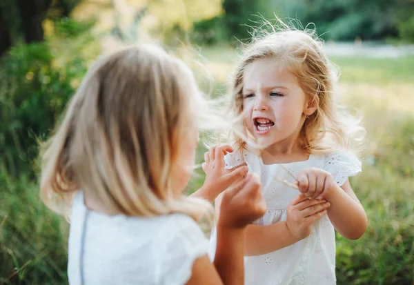 Dos pequeñas amigas enojadas o hermanas al aire libre en la naturaleza soleada del verano, tirando del pelo . — Foto de Stock