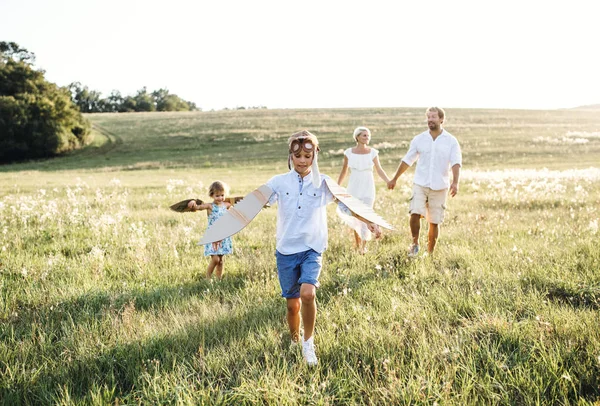 Jong gezin met kleine kinderen spelen op een weide in de natuur. — Stockfoto